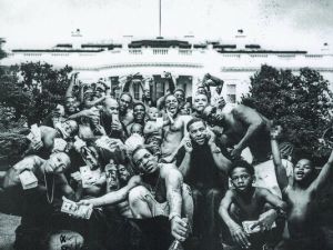 635621187846228871-LAMAR-PIMP-BUTTERFLY-MUS-jy-4872-